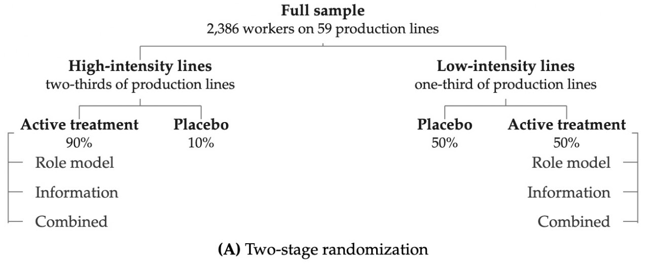 Two-stage randomization design for information and role-model interventions across production lines.